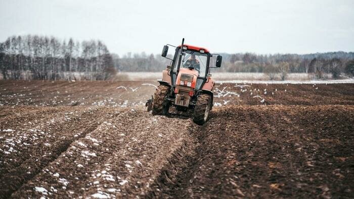 «В этом году посевную проведем, дальше не заглядываем» 