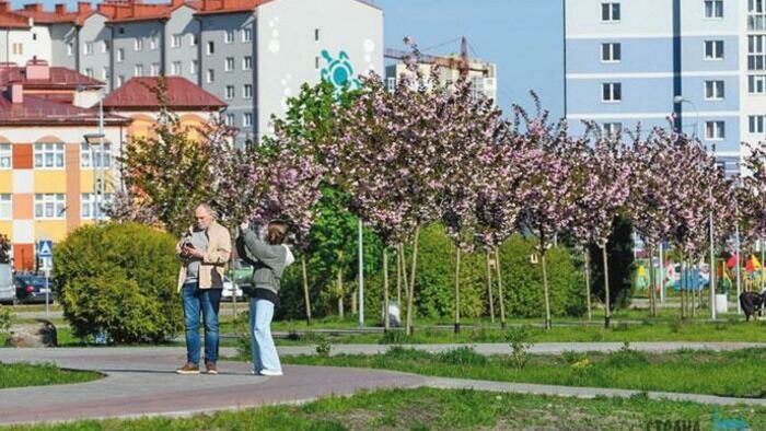 Если лихорадит от запаха цветов 