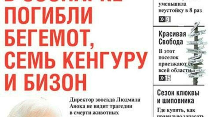Каннские гастроли, скандал в зоопарке и юбилей «Страны Калининград» 