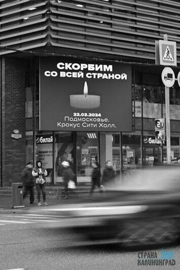 Калининградцы несут цветы и игрушки, торговые центры повесили баннеры
