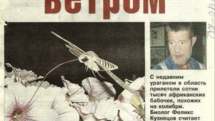 Прощальная речь Бооса, символ над Преголей и грибы