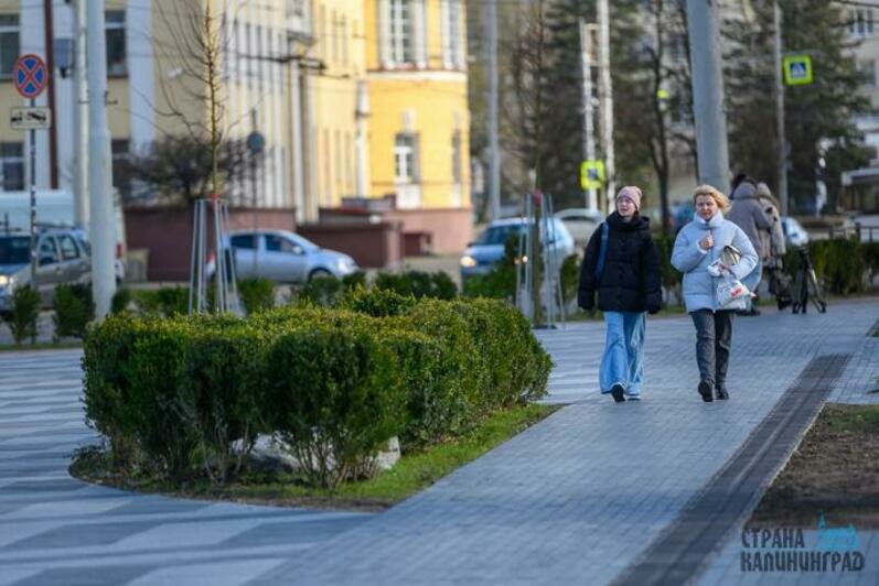 Фонтан с подсветкой включат в мае