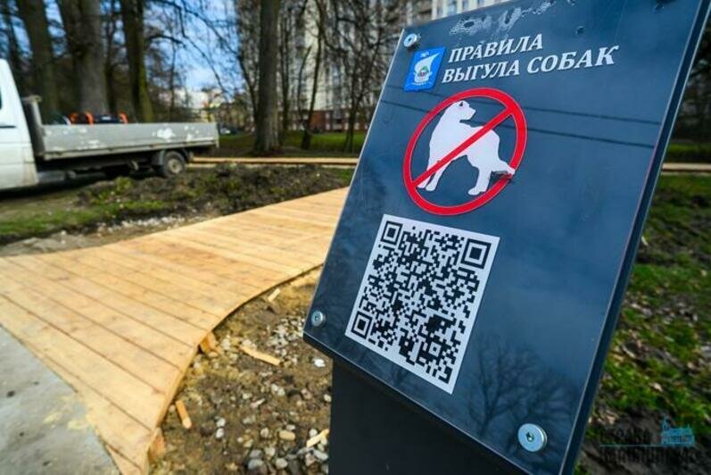 На Летнем озере появились качели