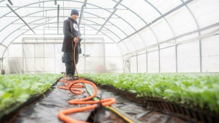 «В этом году посевную проведем, дальше не заглядываем» 