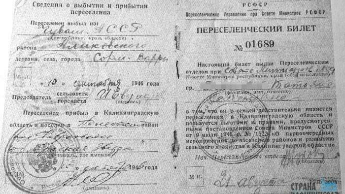 «Мы оклеили комнату немецкими банкнотами» 