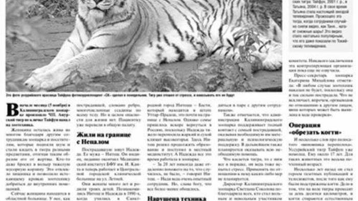 Банда убийц, синагога  и шар-гигант