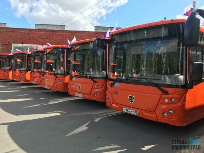 &quot;&quot;&quot;ЛиАЗ&quot;&quot; пополнили муниципальный автопарк &quot;