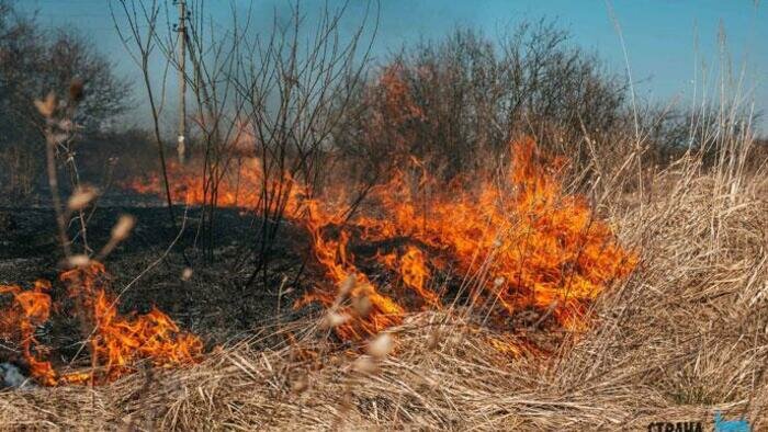Власти рекомендуют не разводить костры