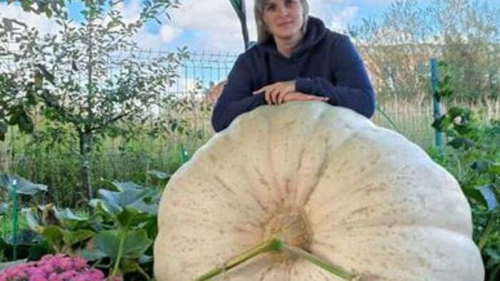 «Мама, на следующий год -  500 кг! Не меньше!»