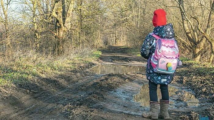 «Ребенок забрался на дерево, спасаясь от кабанов»