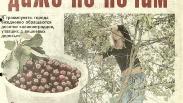Новая жизнь тюрьмы, фестивали и первые интерны