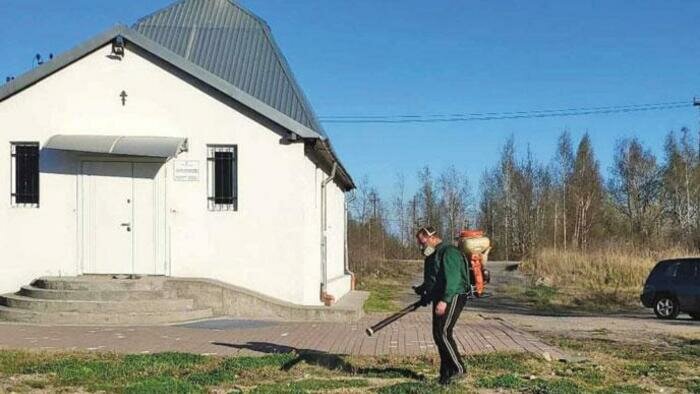 Как избавиться  от клещей и грызунов  на дачном участке