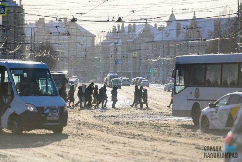 Зима. Снегопад. Январь 2024