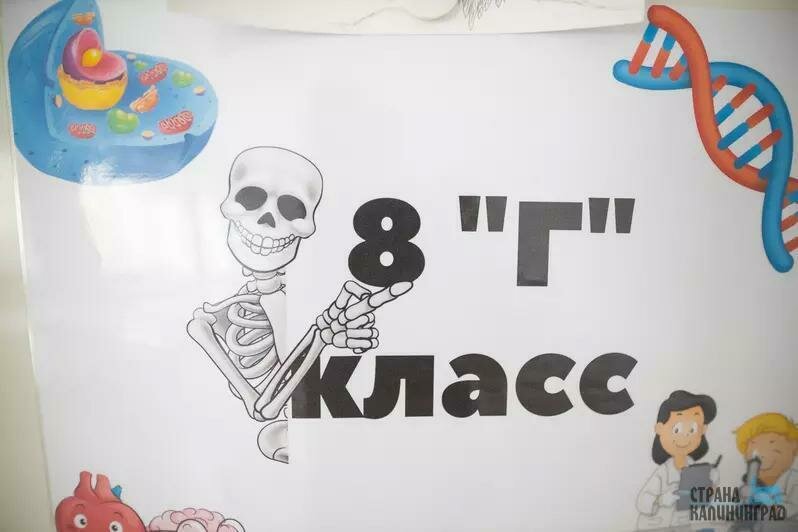школа