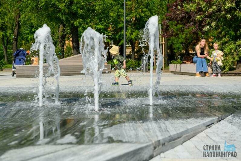 В Калининграде заработали фонтаны