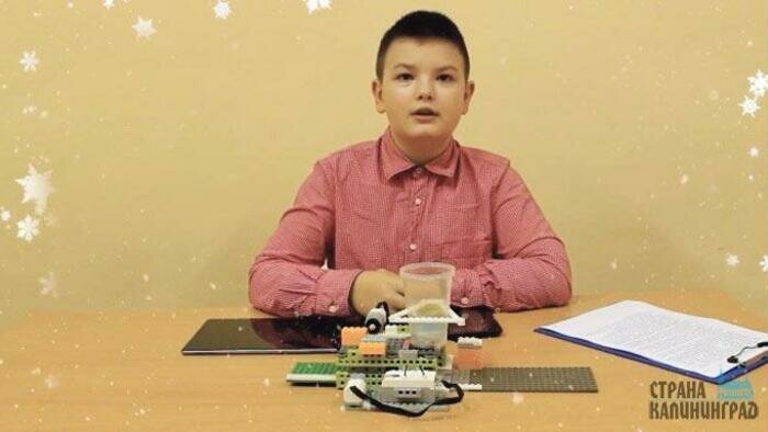 Кормушка для животных и умные города