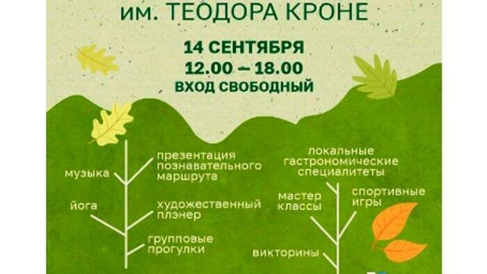 День Гурьевска, экопикник в парке и косплей: афиша самых интересных мероприятий в Калининграде на выходные