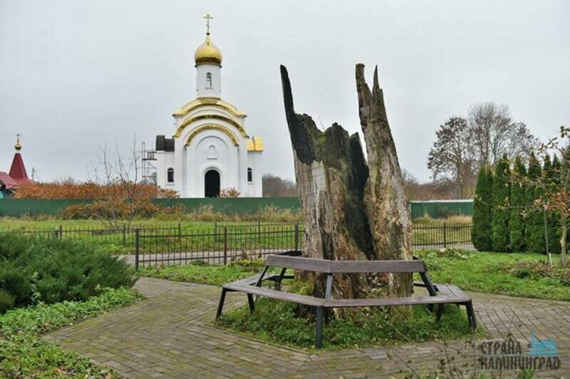 Последний очаг культуры в Приморске