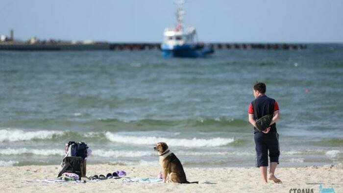 В планах на выходные — пляж и море