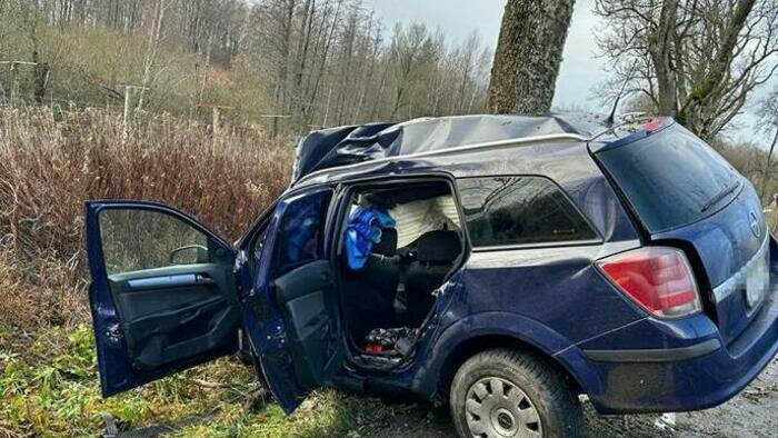 Первые заморозки: «Опель» вылетел с дороги, погибли двое