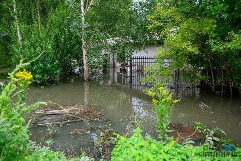 Стадион ушел под воду