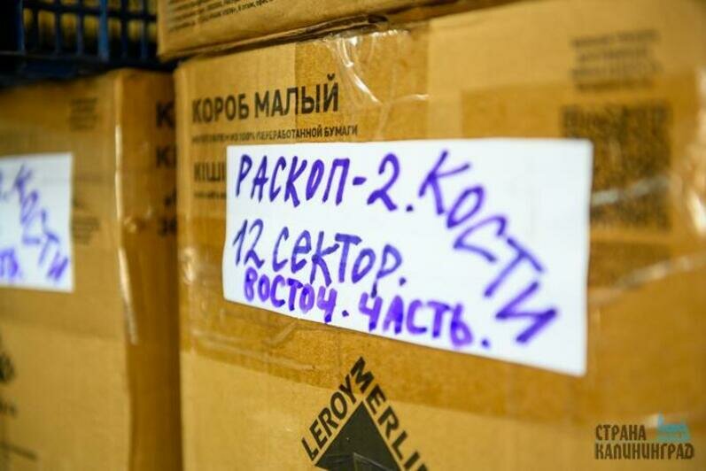 Раскопки Фридрихсбургские ворота