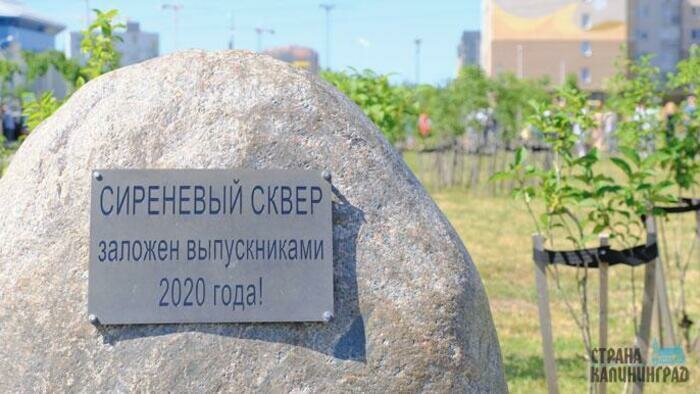 На Сельме медалисты высадили 150 сиреней