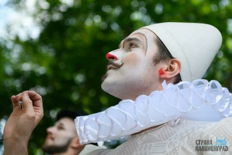 Онегин и цирк 
