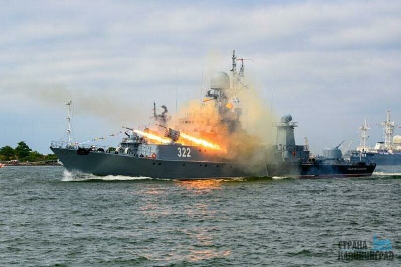 День ВМФ в Балтийске - 2023 | Фото: Александр Мелехов