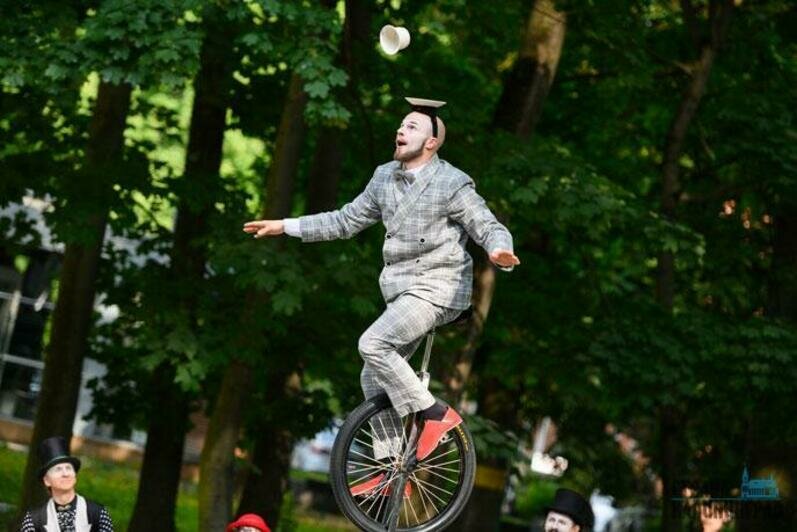 Онегин и цирк 