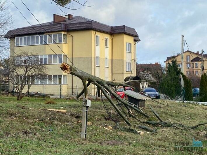 Шторм. Декабрь 2024