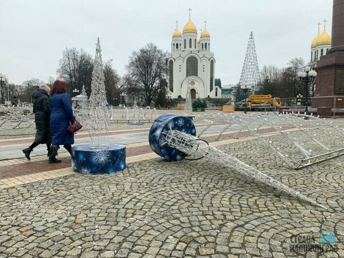 Разбор елки в Калининграде
