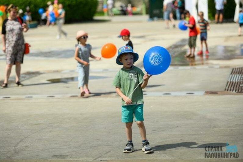 Юные калининградцы и гости города попробовали себя в творческих профессиях 
