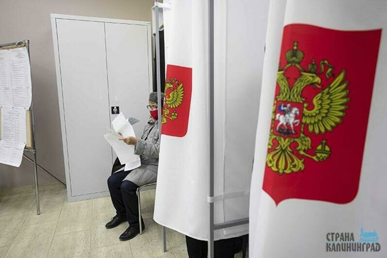 Выборы-2021