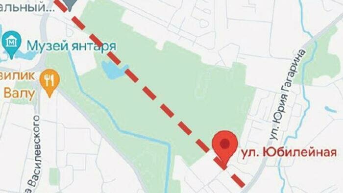 В вырубку лесополосы вмешалась прокуратура