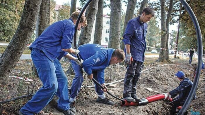 На стажировке ветеринары делали узи, а агрономы изучали поля