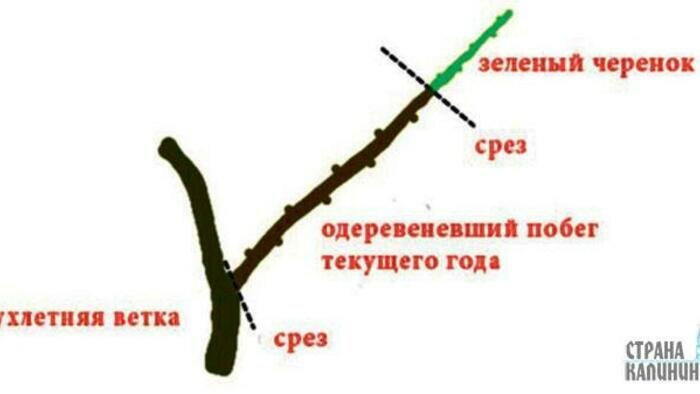 Режем в состоянии покоя