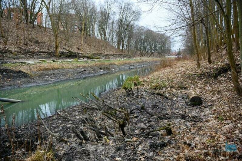 Проход на пешеходную тропинку закрыли из-за чистки водоема