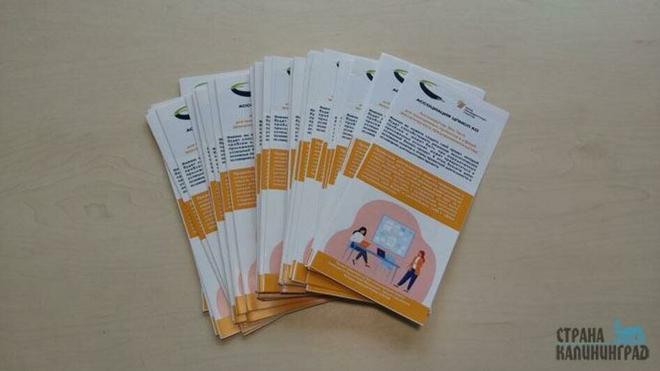 Акселератор Эко-Tech