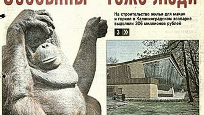 Журналисты баллотировались в мэры  и боролись за качество медицины