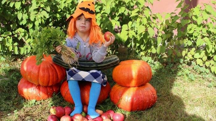 Тыквам противопоказано соседство с яблоками и грушами