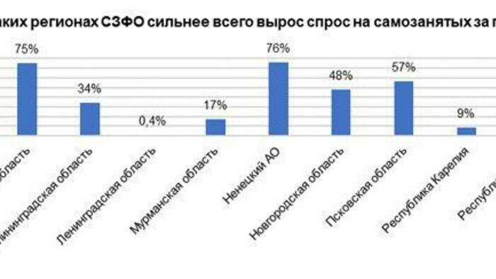 Спрос на самозанятых за год в Калининграде вырос. А вот их доход практически не изменился