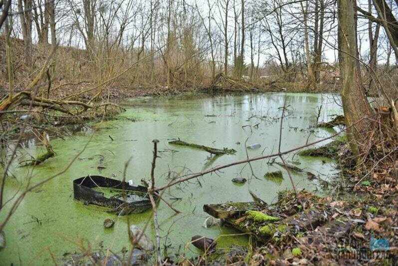 Анализ воды в подземных  источниках     
