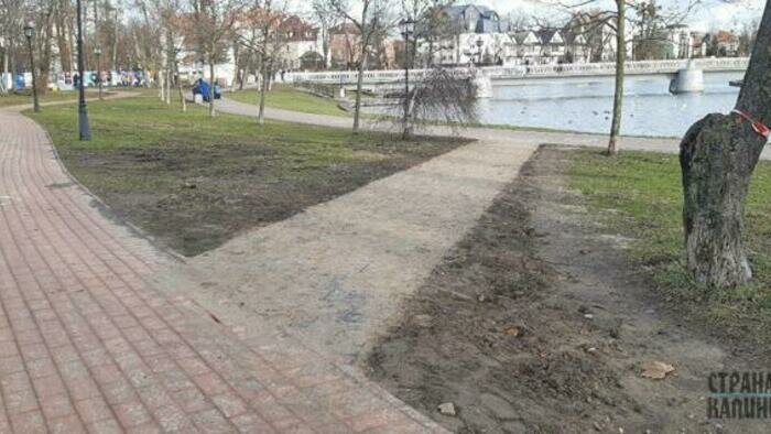 На Верхнем озере пронумеровали деревья 