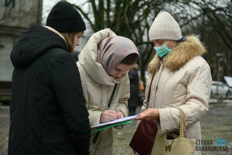 Активисты собрали подписи под обращением к губернатору