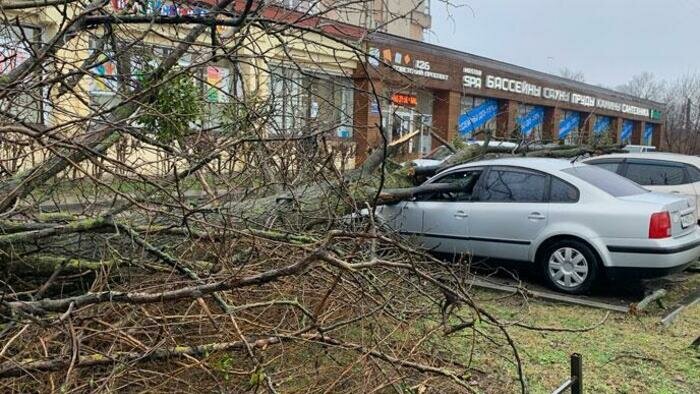 За «Эльзой» пришел «Герхильд» 