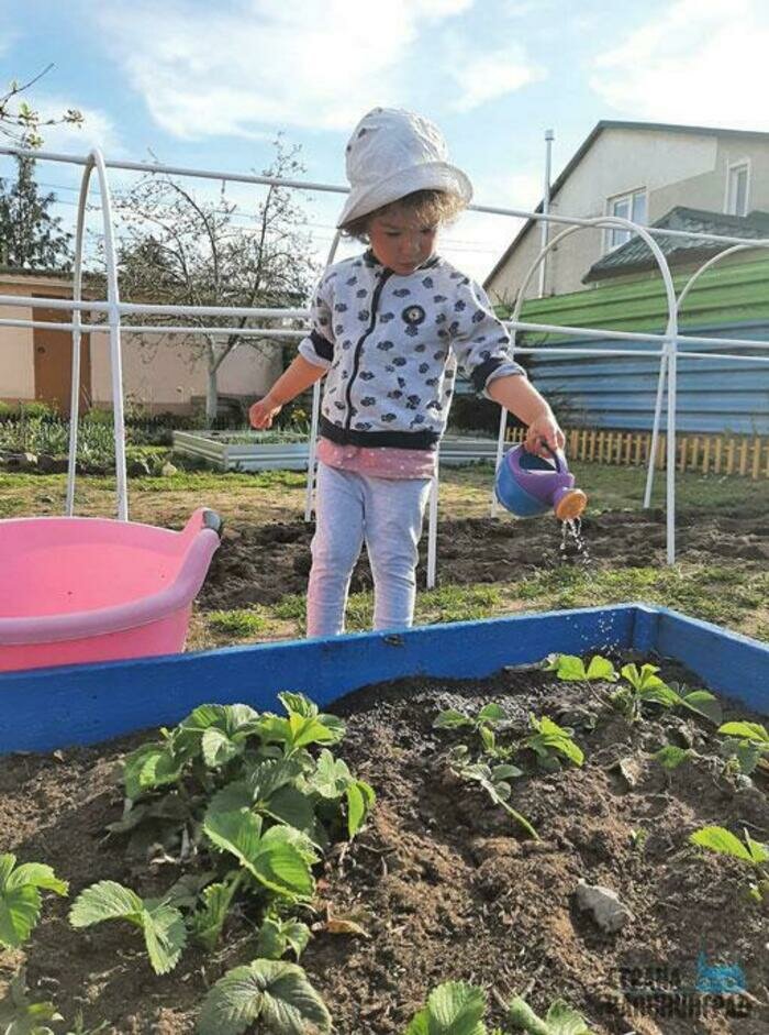 Калининградка Маргарита Борисова с удовольствием помогает родителям поливать растения на даче  | Фото: архив «СК»