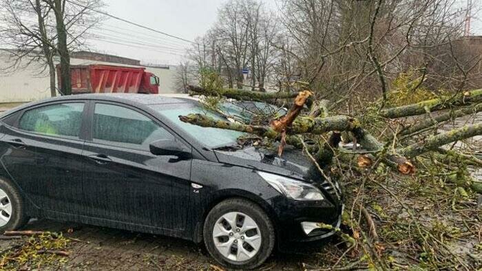 За «Эльзой» пришел «Герхильд» 
