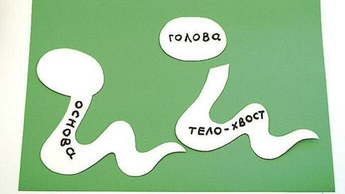 Мудрая змейка | Фото: Ксения Асатурова