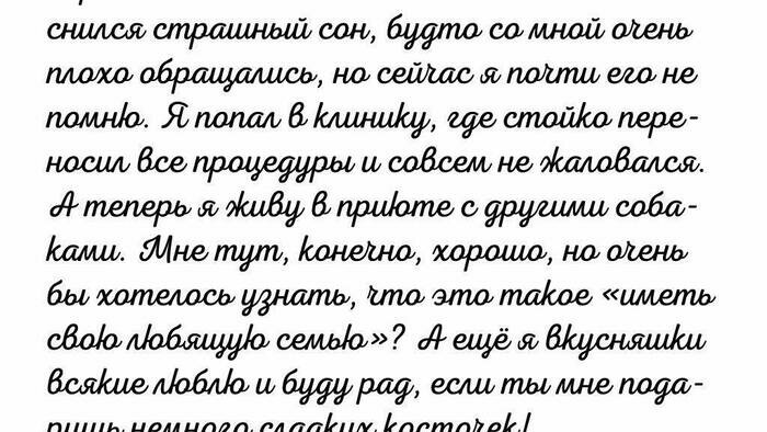 Собаки из приюта пишут письма Санте Лапусу 